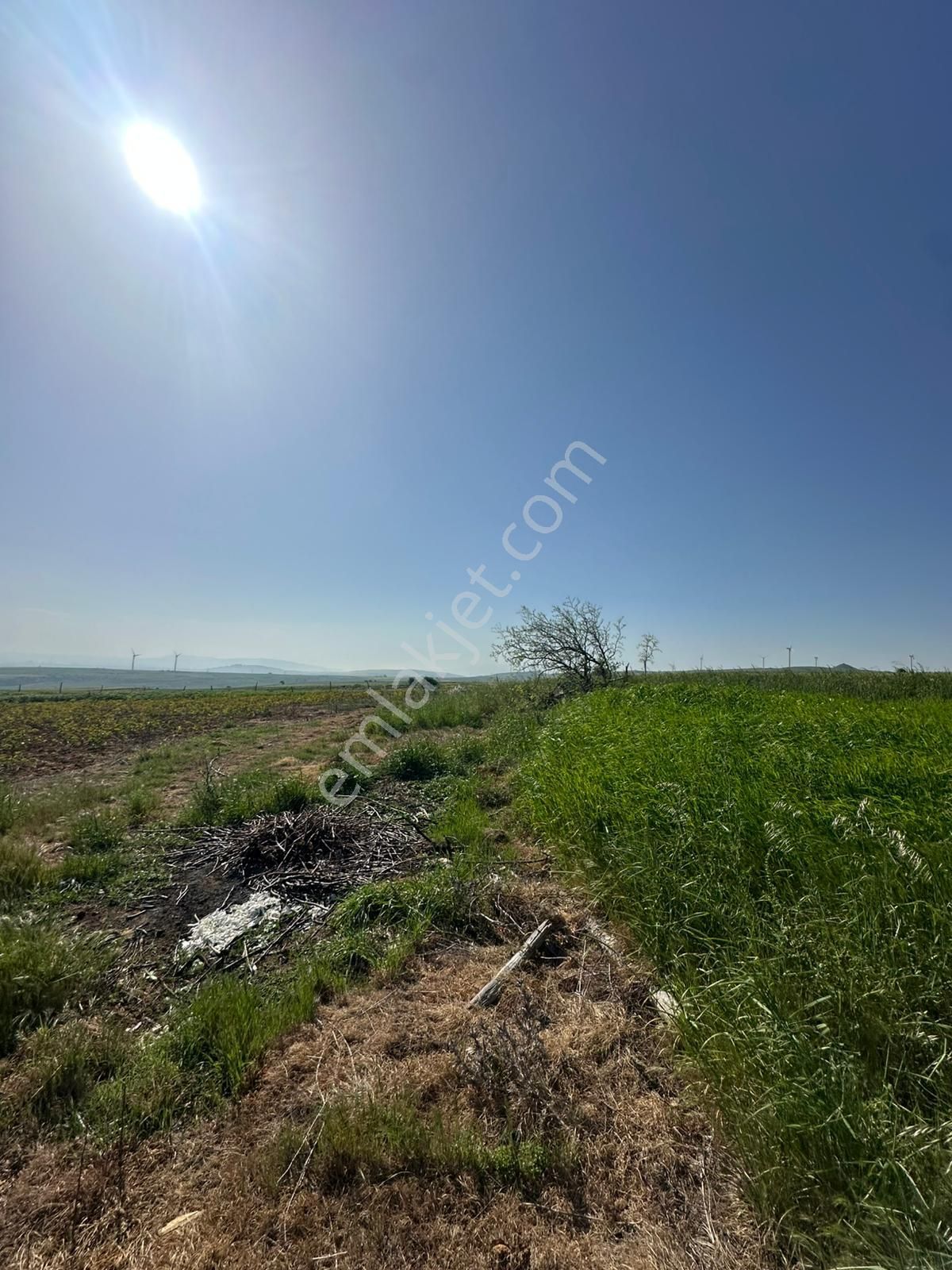 Dekor Emlaktan Bandırma'nın Yeşil Cenneti Eriklide Muazzam Tarla - Görsel 5