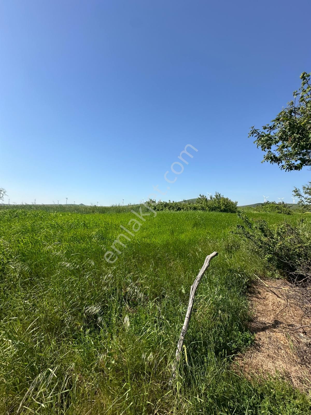 Dekor Emlaktan Bandırma'nın Yeşil Cenneti Eriklide Muazzam Tarla - Görsel 8