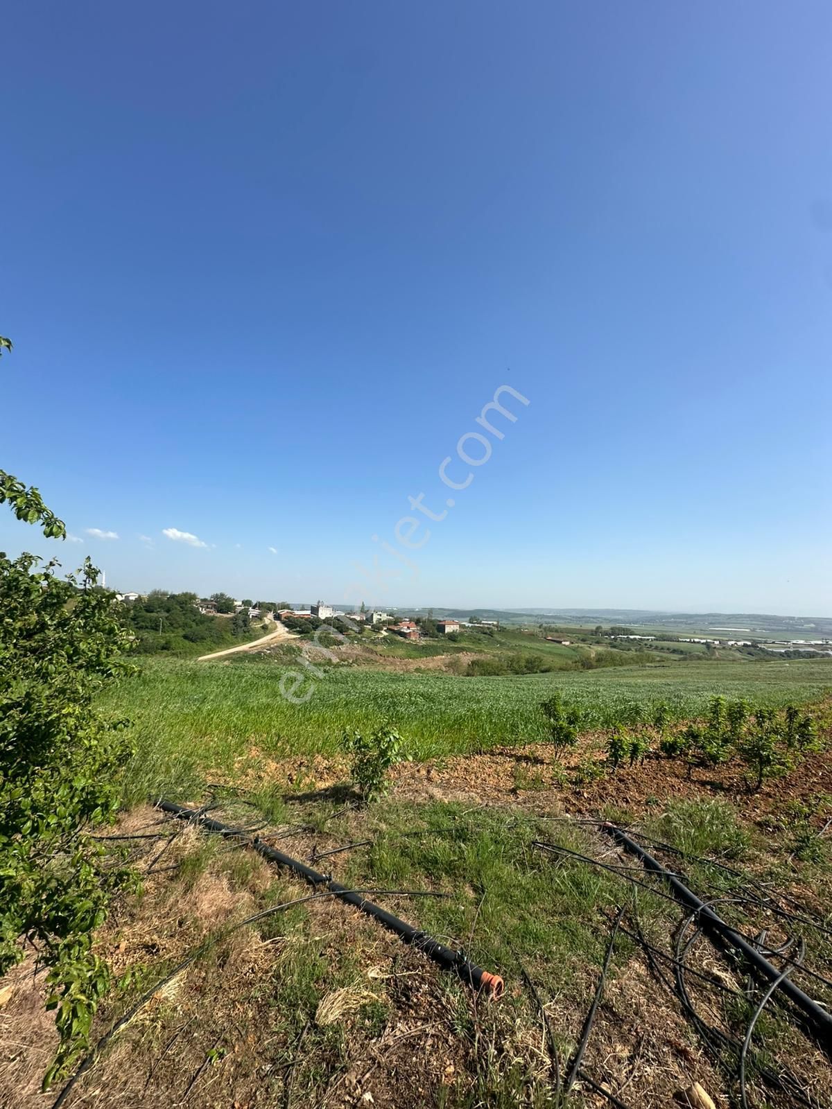 Dekor Emlaktan Bandırma'nın Yeşil Cenneti Eriklide Muazzam Tarla - Görsel 2