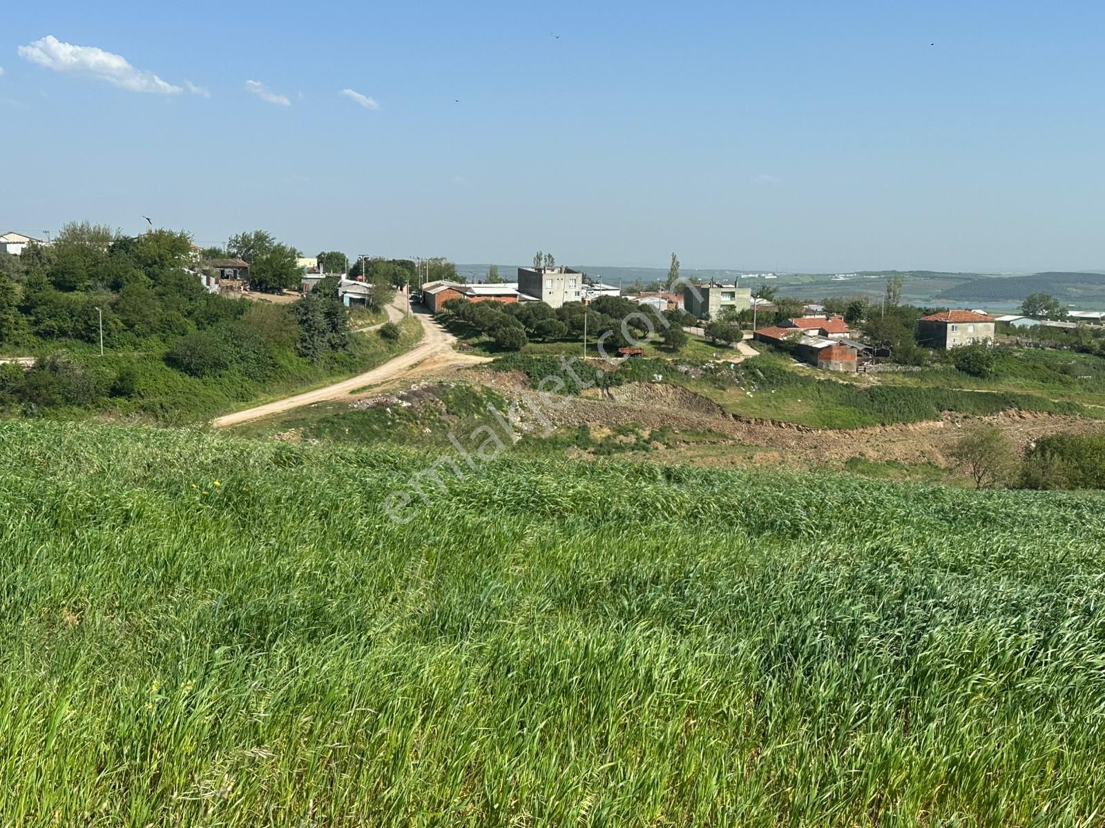 Dekor Emlaktan Bandırma'nın Yeşil Cenneti Eriklide Muazzam Tarla - Görsel 11