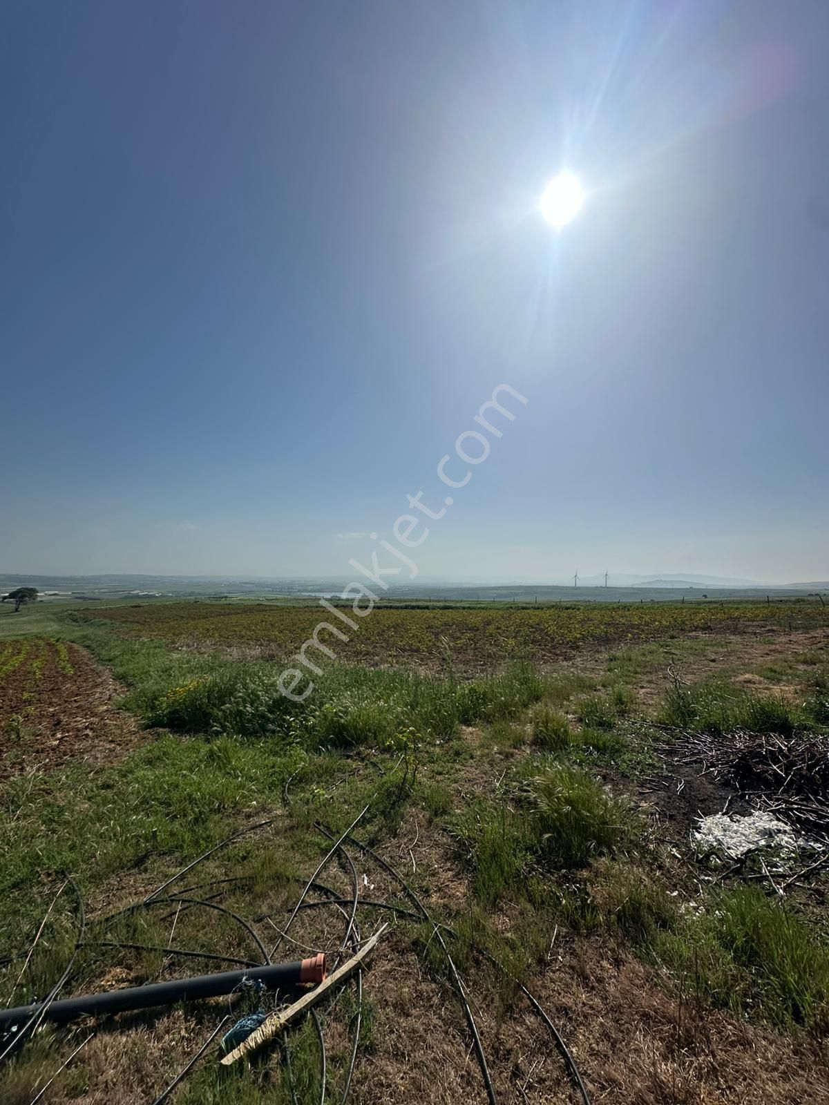 Dekor Emlaktan Bandırma'nın Yeşil Cenneti Eriklide Muazzam Tarla - Görsel 4