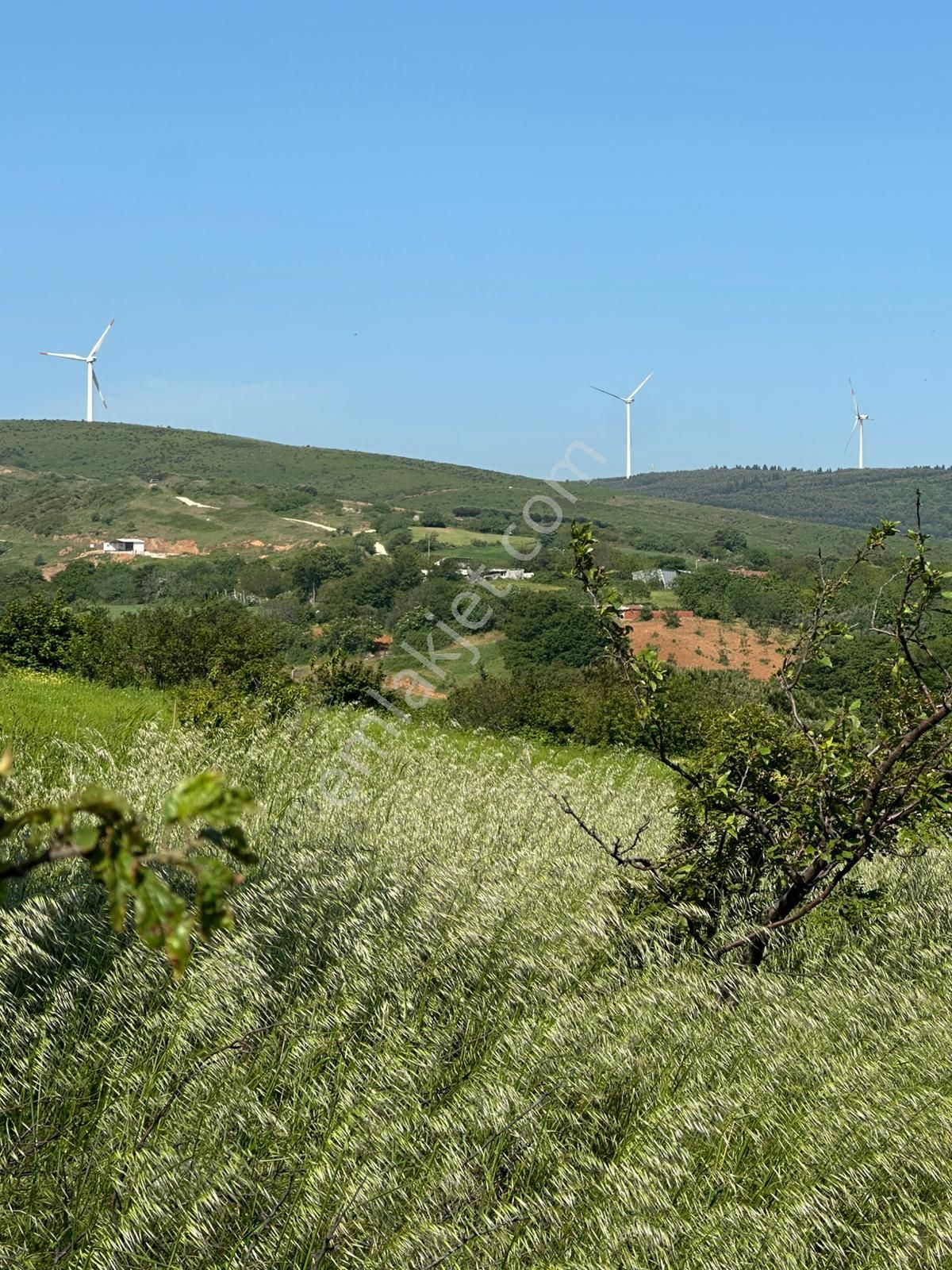 Dekor Emlaktan Bandırma'nın Yeşil Cenneti Eriklide Muazzam Tarla - Görsel 10