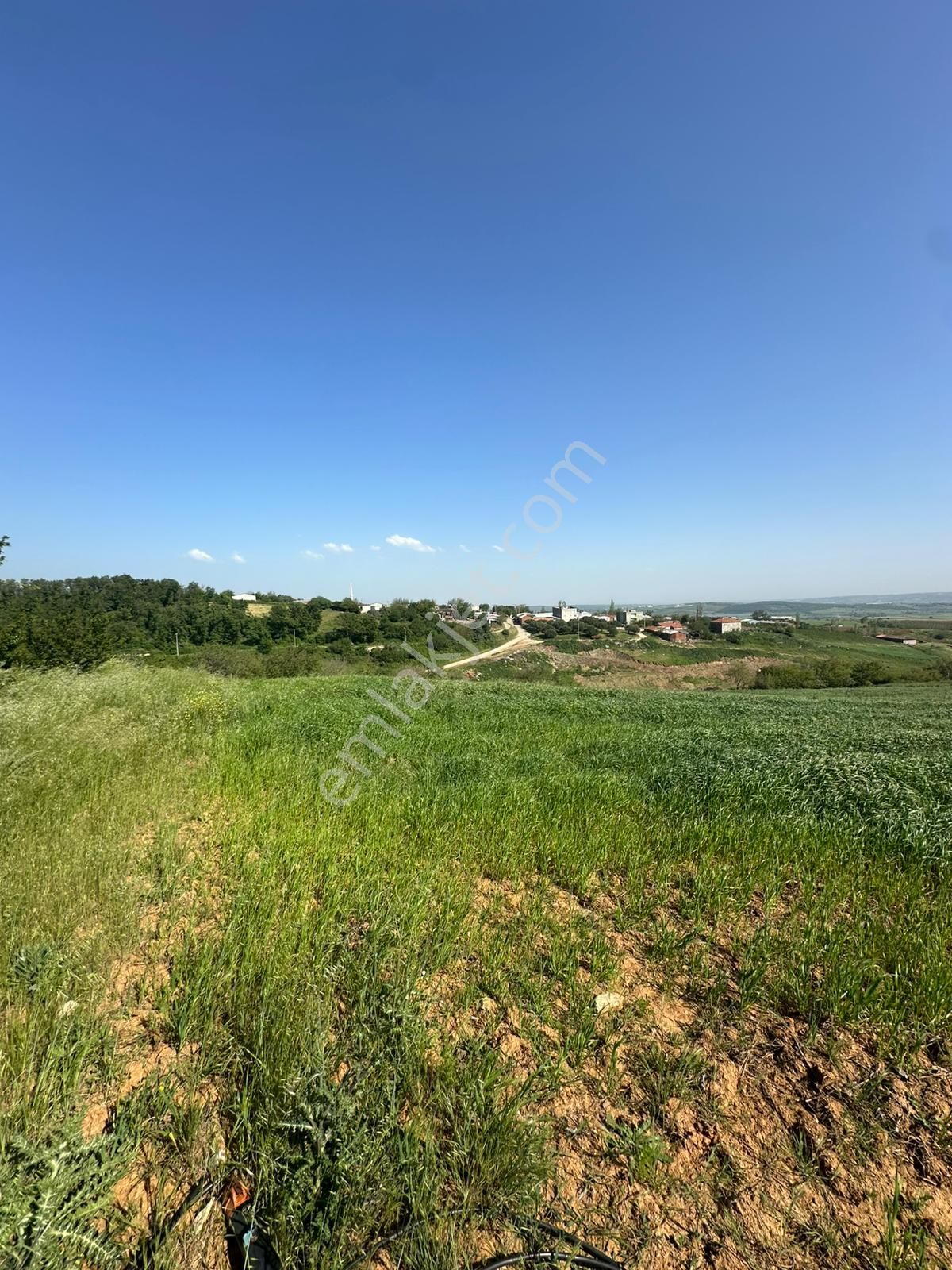 Dekor Emlaktan Bandırma'nın Yeşil Cenneti Eriklide Muazzam Tarla - Görsel 14