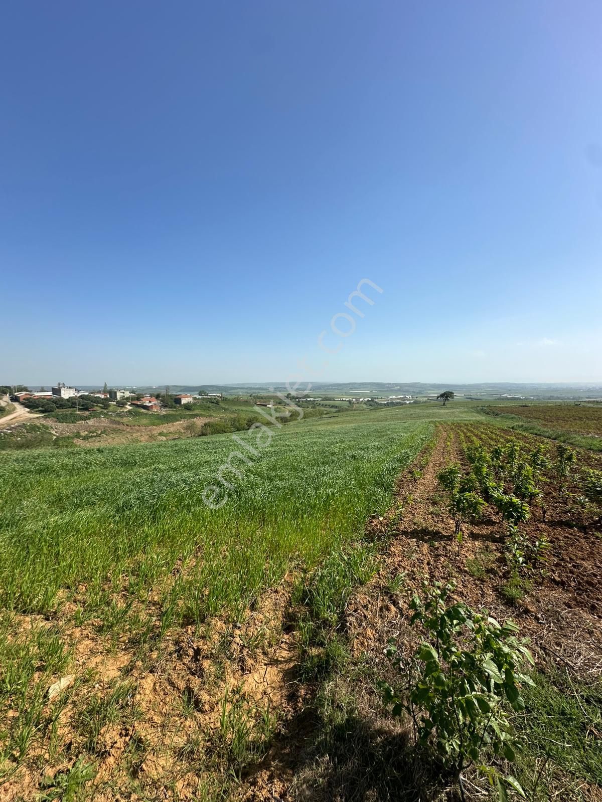 Dekor Emlaktan Bandırma'nın Yeşil Cenneti Eriklide Muazzam Tarla - Görsel 9