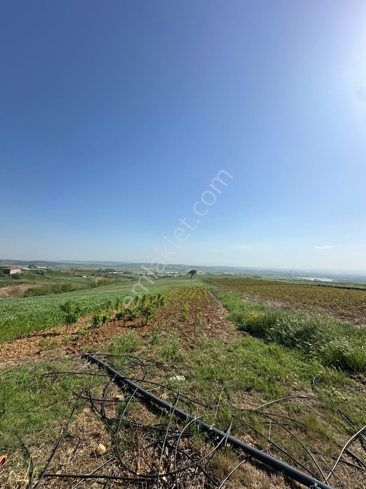 Dekor Emlaktan Bandırma'nın Yeşil Cenneti Eriklide Muazzam Tarla - Görsel 3