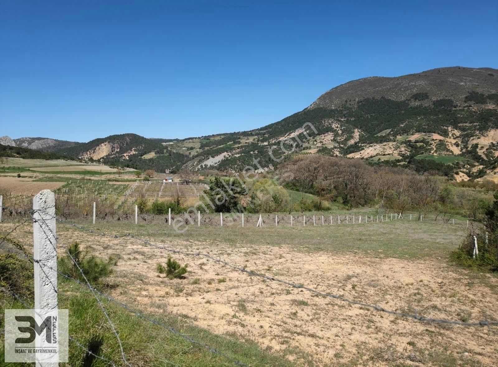 Geyve Akdoğan 2032 M2 Resmiyola Cephe Köye 500 Metre Bağ Nitelik - Görsel 6