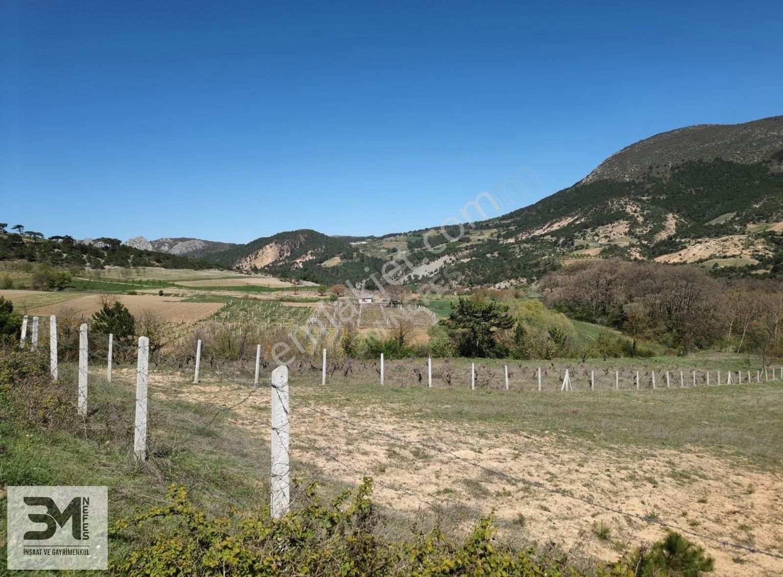 Geyve Akdoğan 2032 M2 Resmiyola Cephe Köye 500 Metre Bağ Nitelik - Görsel 23