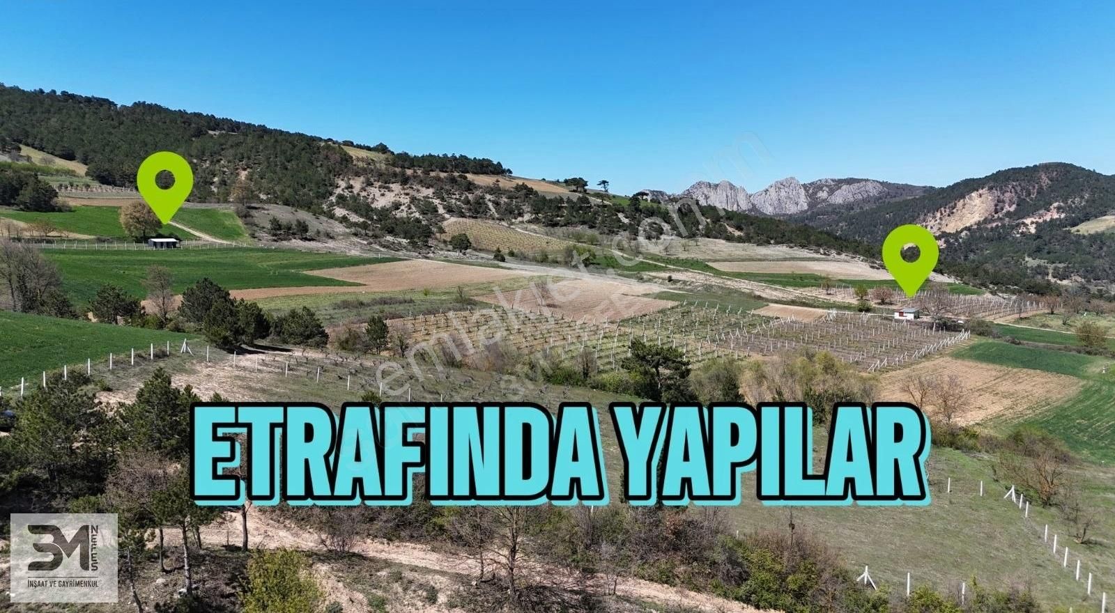 Geyve Akdoğan 2032 M2 Resmiyola Cephe Köye 500 Metre Bağ Nitelik - Görsel 20
