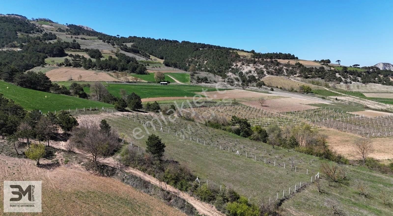 Geyve Akdoğan 2032 M2 Resmiyola Cephe Köye 500 Metre Bağ Nitelik - Görsel 24
