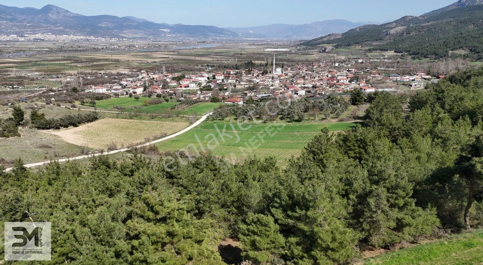Sakarya Geyve Kozan 6560 M2 Tarla Nehir Manzaralı Uygun Fırsat - Görsel 17