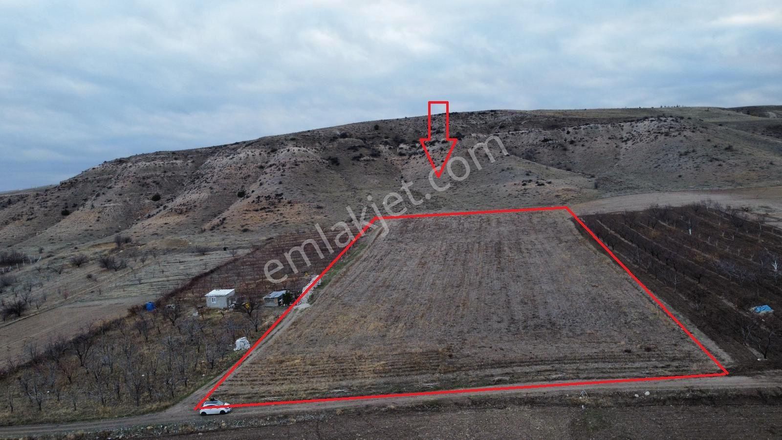 Meram Hatunsaray'da Satılık 12.328 M2 Tarla