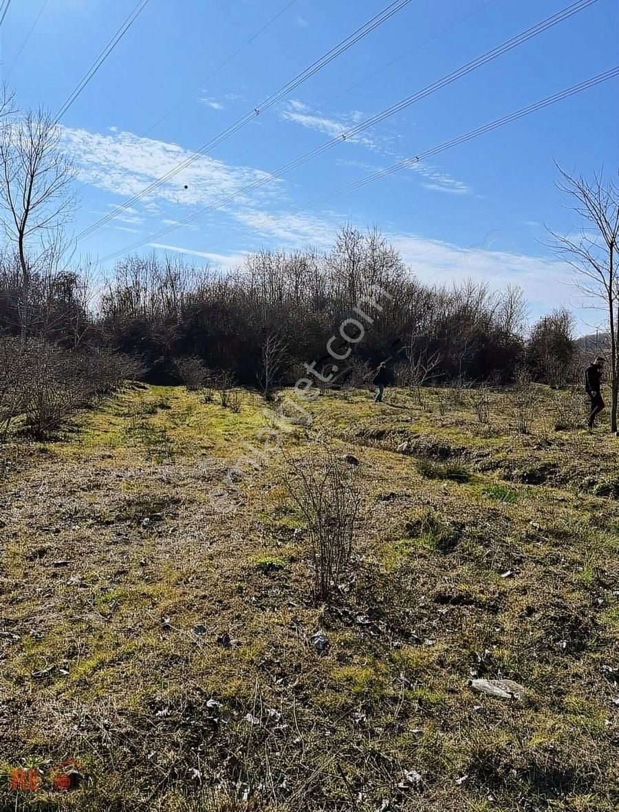 Resold Gayrimenkulden Terme Akçayda Satılık Arsa. - Görsel 8