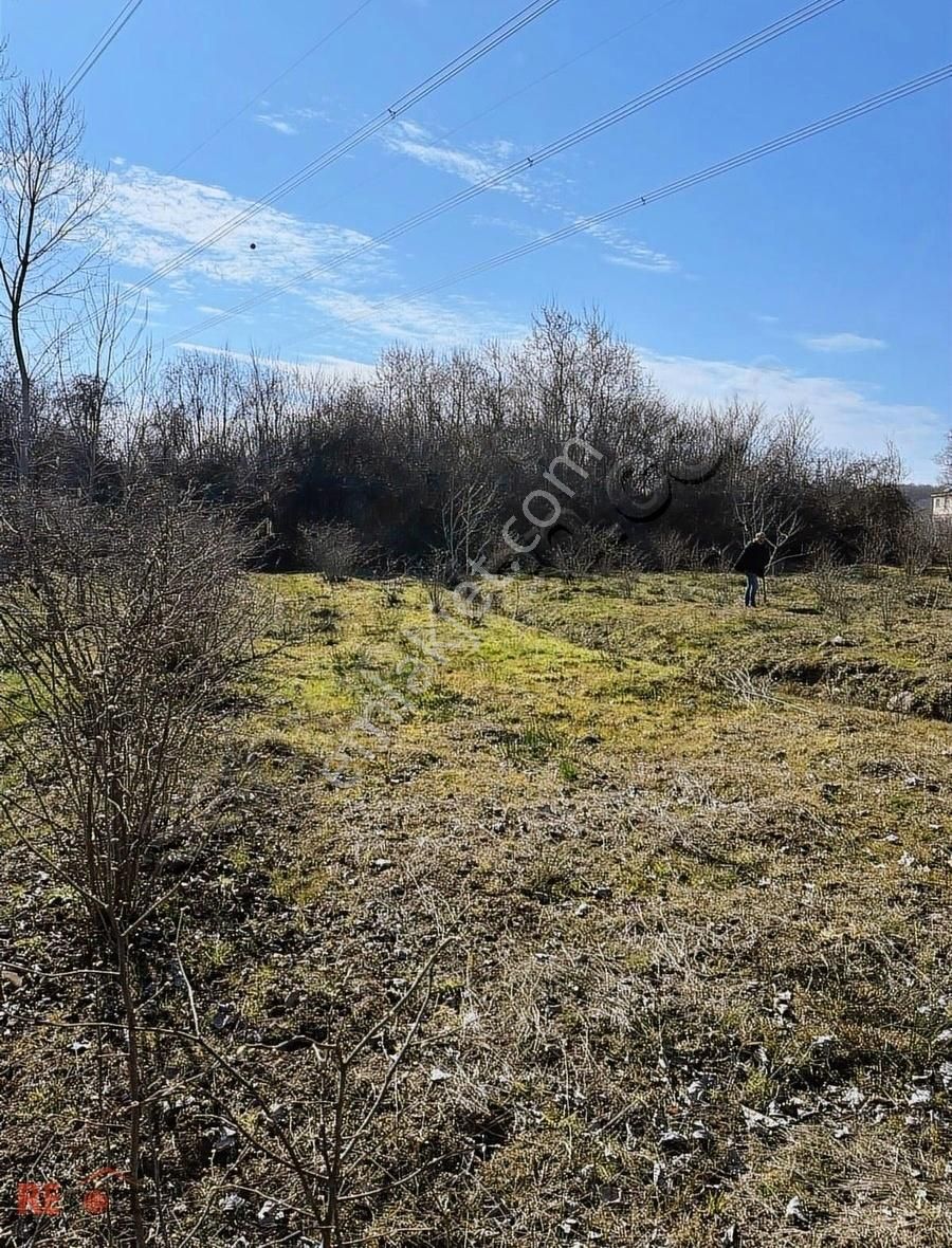 Resold Gayrimenkulden Terme Akçayda Satılık Arsa. - Görsel 7