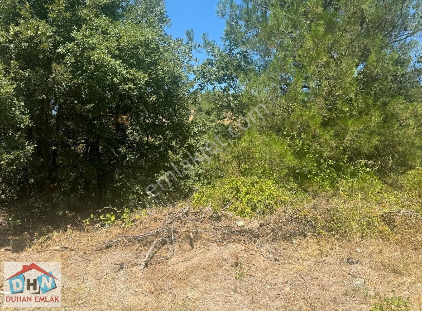 Duhan Emlak'tan Kadastro Yola Cepheli 7350m2 Tarla