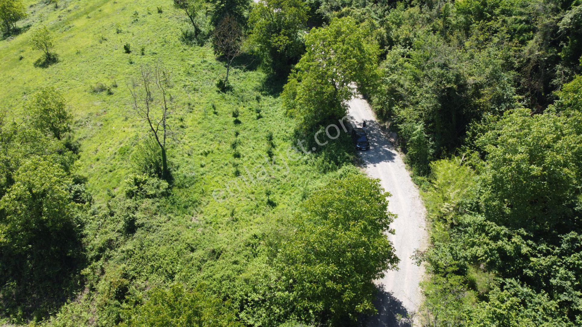 Kartepe De Eşsiz Manzaralı İmarlı Arsa - Görsel 7