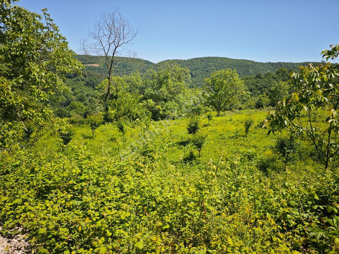 Kartepe De Eşsiz Manzaralı İmarlı Arsa - Görsel 4