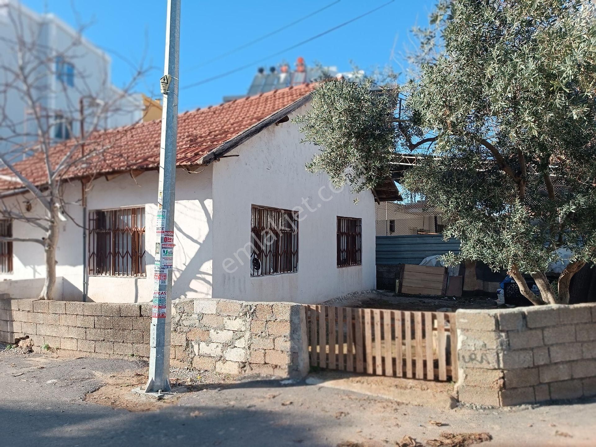 Tapulu Müstakil Ev