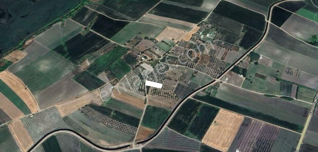 Bandırma Ergili Köyü 1472 M2 Bağ Yeri