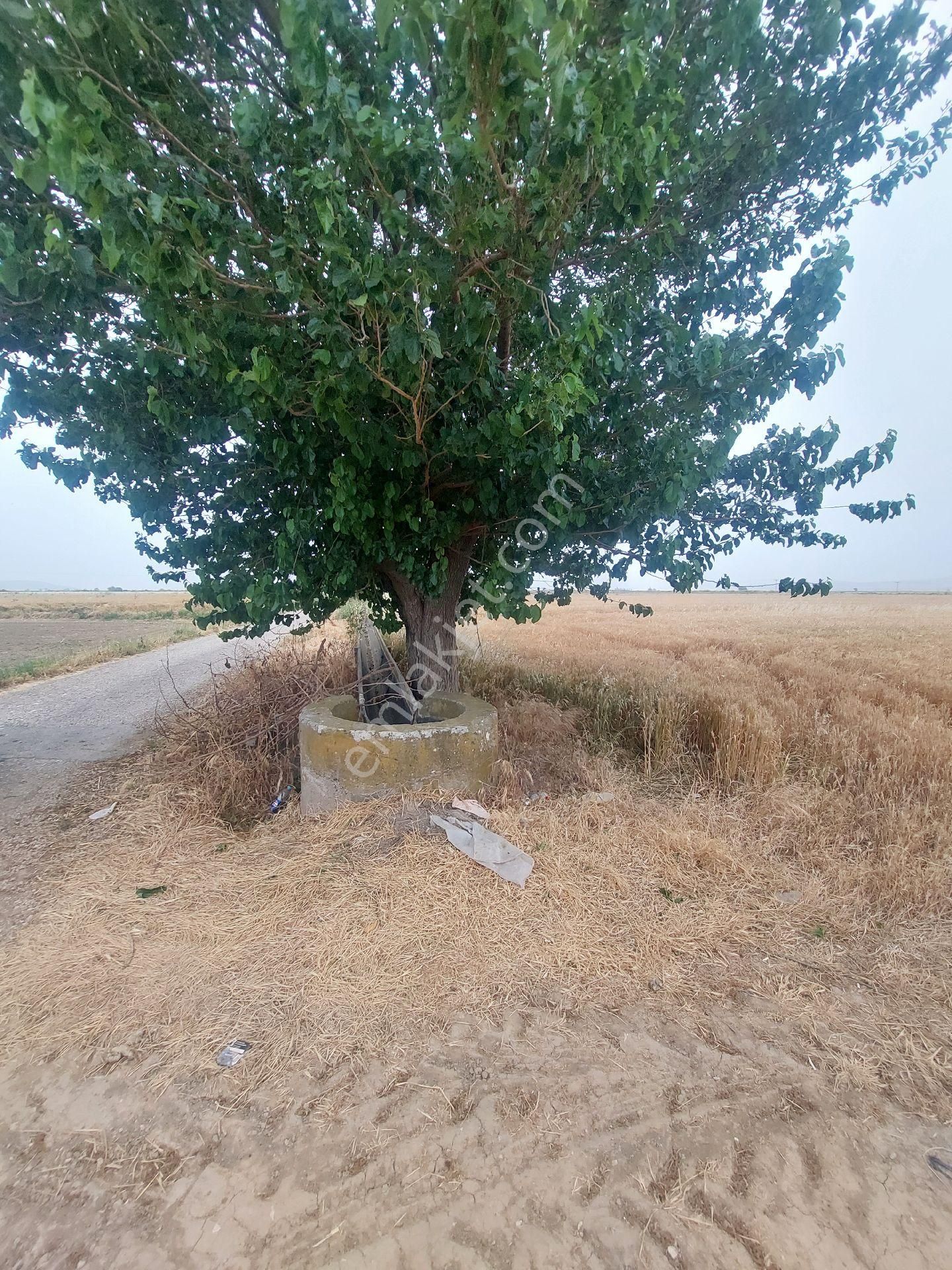 Ego Emlak'tan Gerenköy'de Satılık Tarla