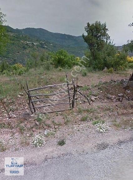 Çanakkale Ayvacık Sazlı Köyü 8.646 M2 Zeytinlik Sahile 2,9 Km - Görsel 8