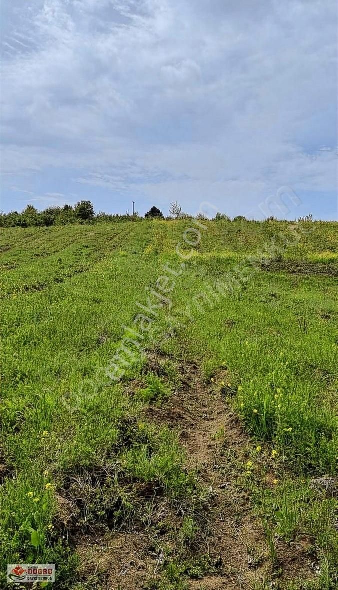 Kandıra Safalı Da 510 M2 Kaçırmayacağınız Kupon Arazi - Görsel 4