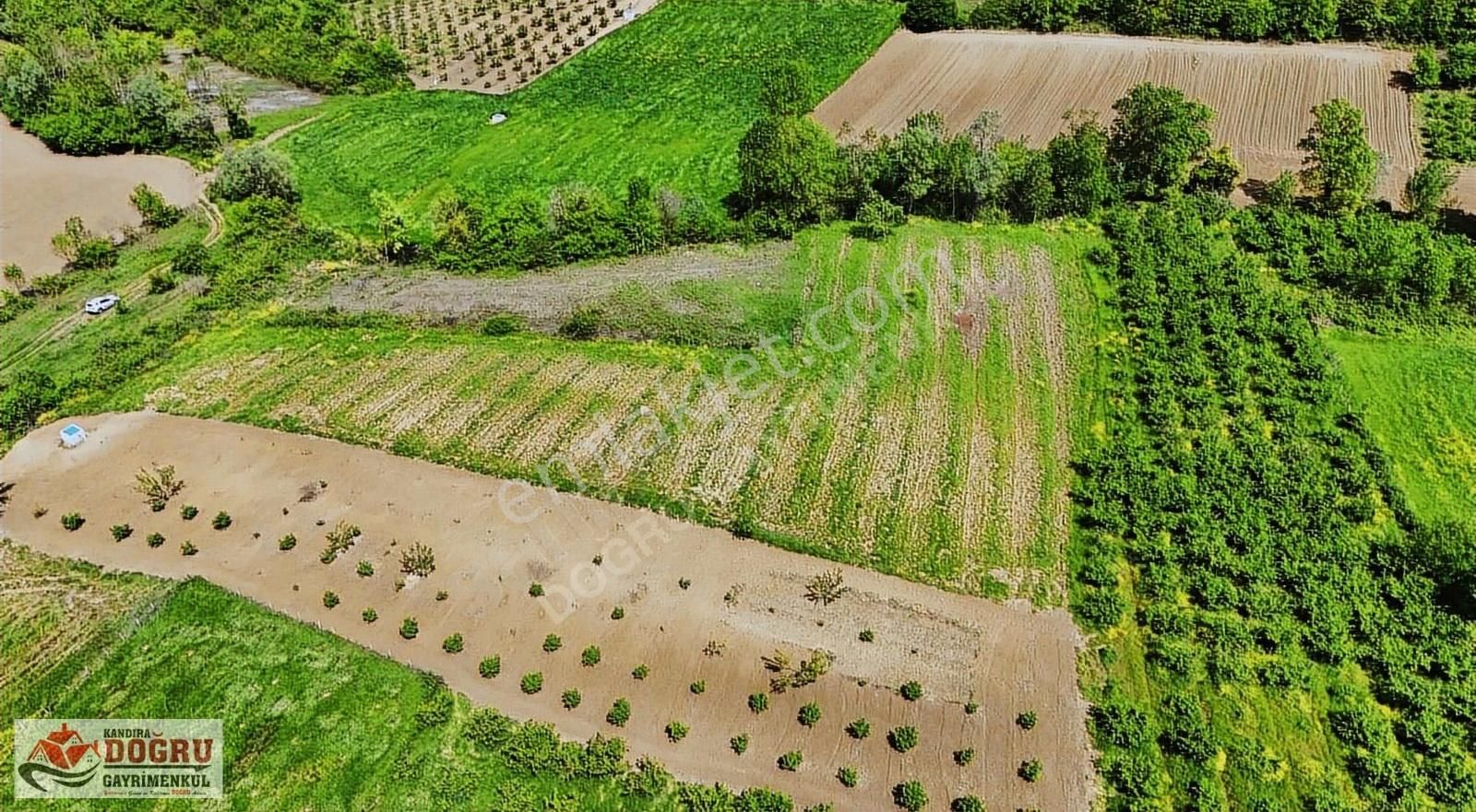 Kandıra Safalı Da 510 M2 Kaçırmayacağınız Kupon Arazi - Görsel 13