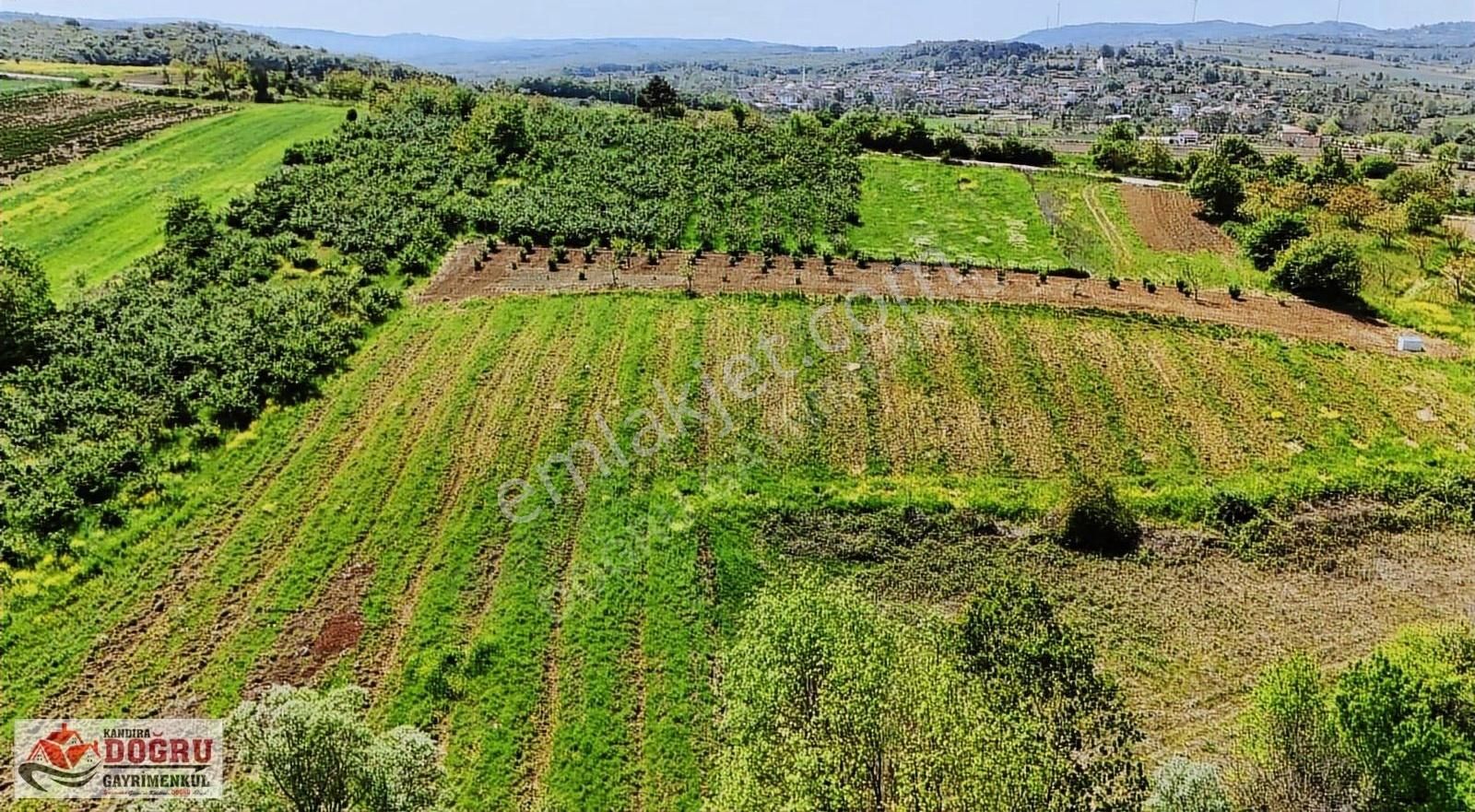 Kandıra Safalı Da 510 M2 Kaçırmayacağınız Kupon Arazi - Görsel 15