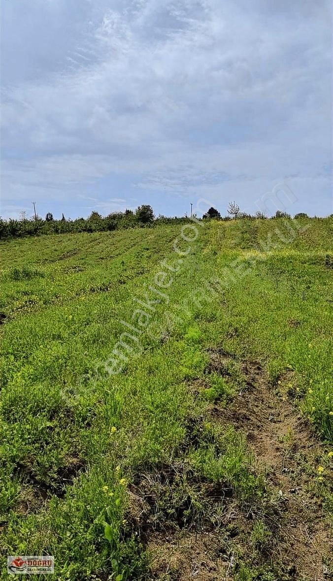 Kandıra Safalı Da 510 M2 Kaçırmayacağınız Kupon Arazi - Görsel 12