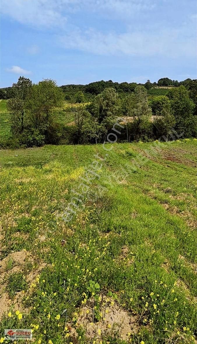 Kandıra Safalı Da 510 M2 Kaçırmayacağınız Kupon Arazi - Görsel 9