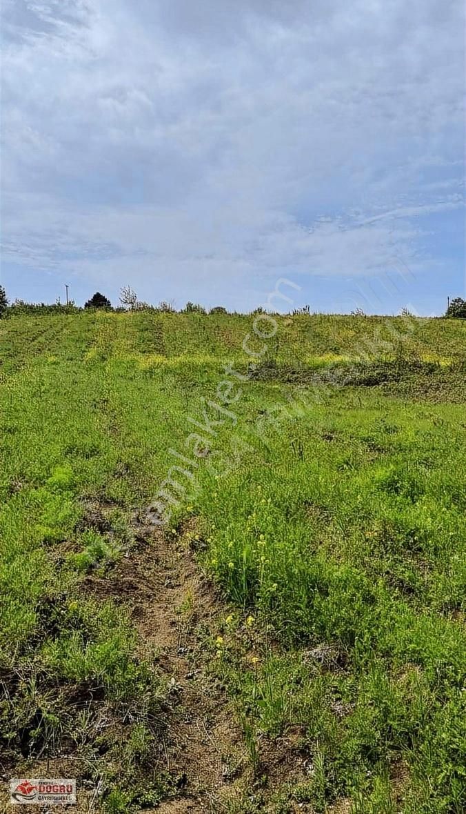 Kandıra Safalı Da 510 M2 Kaçırmayacağınız Kupon Arazi - Görsel 20