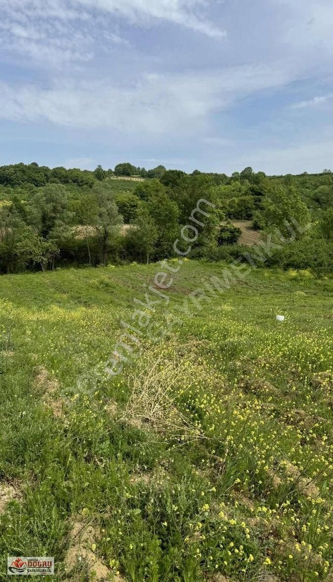 Kandıra Safalı Da 510 M2 Kaçırmayacağınız Kupon Arazi - Görsel 19