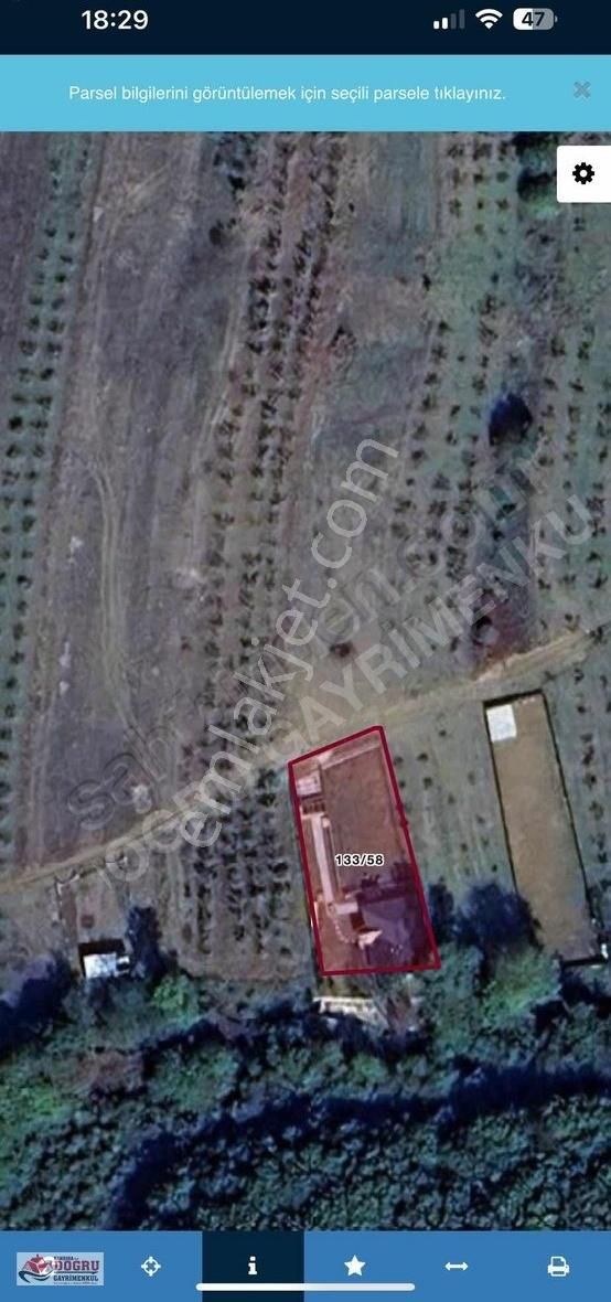 Dalca Köyünde 612m2 Tarla İçerisinde Kafa Dinlemelik Ev - Görsel 20