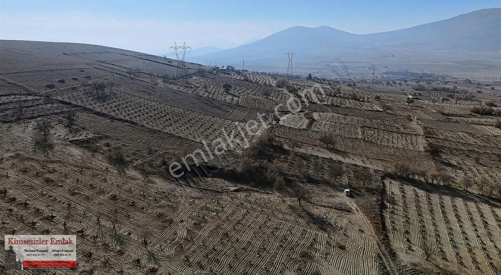 Kimsesizler Emlaktan Süksünde Satılık 5.000 M2 Tek Tapu Bağ