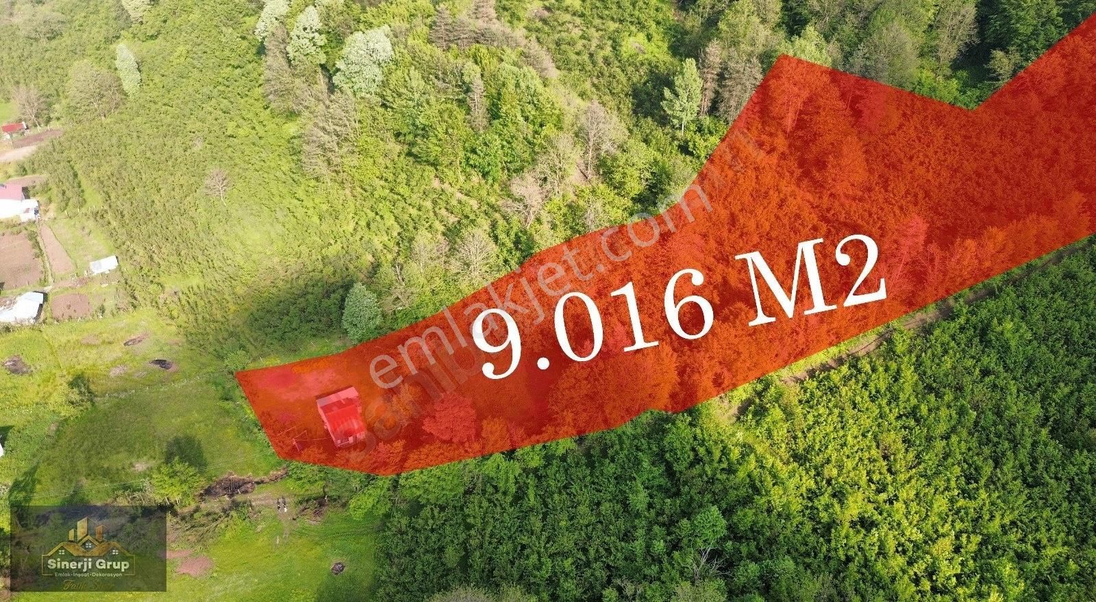 Sinerji Grup'tan Parselisazyona Uygun 9016 Metrekare Arsa