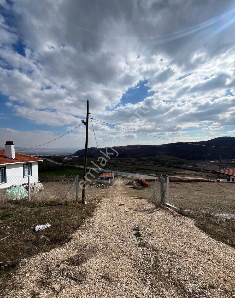 Hasan Bulgur Emlaktan Altınbaş Köyü İskip Yolu Üzerinde Höbi Bahçesi