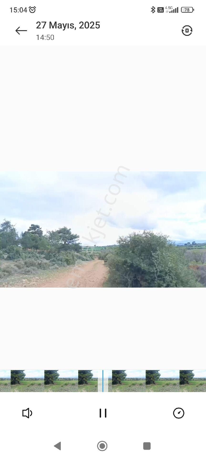 Oksijen Deposu Ağaç Köy'de Bol Suyu Ve Yolu Olan 10.650 M2