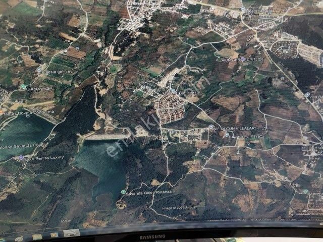 Kemalpaşa Yukurıkızılca Mahallesinde 12000 M2 Satılık Zeytinlik - Görsel 5