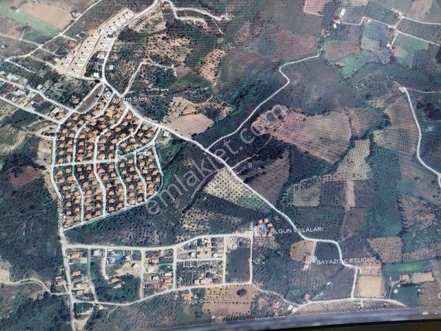 Kemalpaşa Yukurıkızılca Mahallesinde 12000 M2 Satılık Zeytinlik - Görsel 2