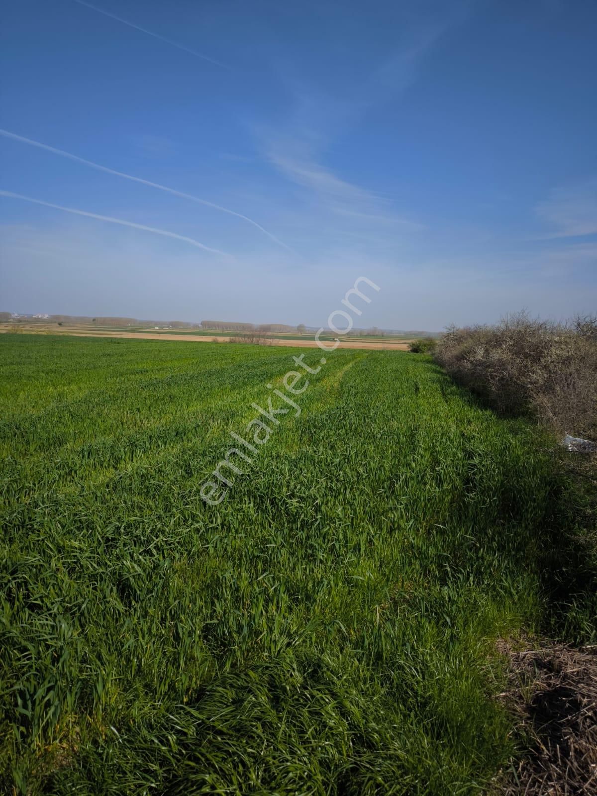Edirne Karaaağaç Da Satılık Tarla