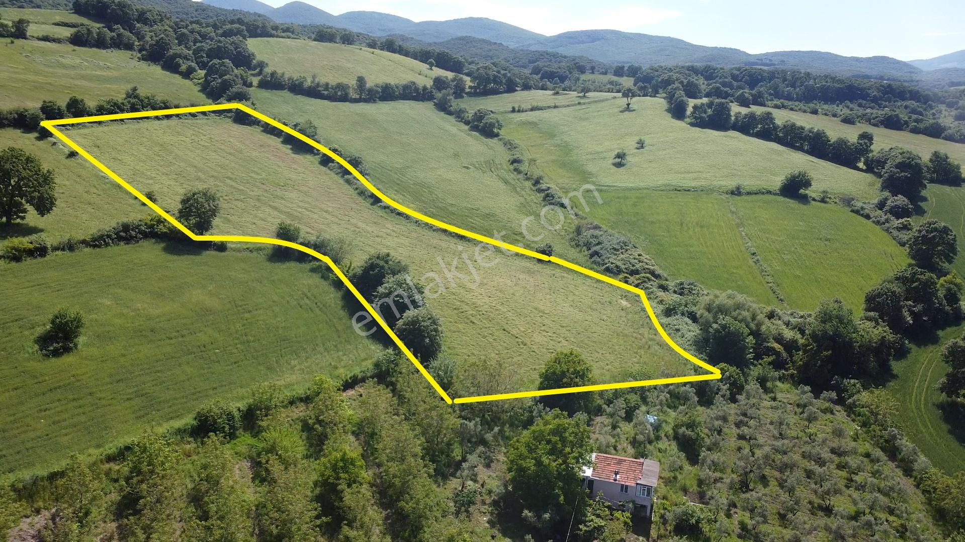 Balıkesir Gönen'de 18.700 M2 Ekilip Biçilen Düz Tarım Arazisi