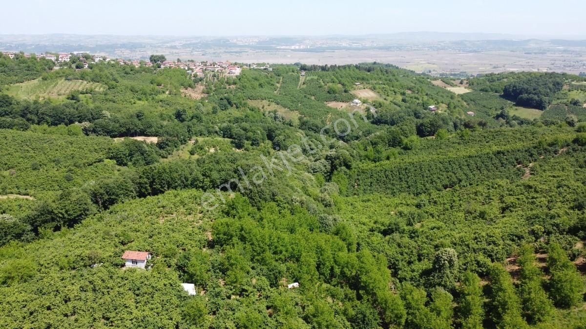 Sakarya Serdivan Çubukluda 5559 M2 Müstakil Satılık Tarla
