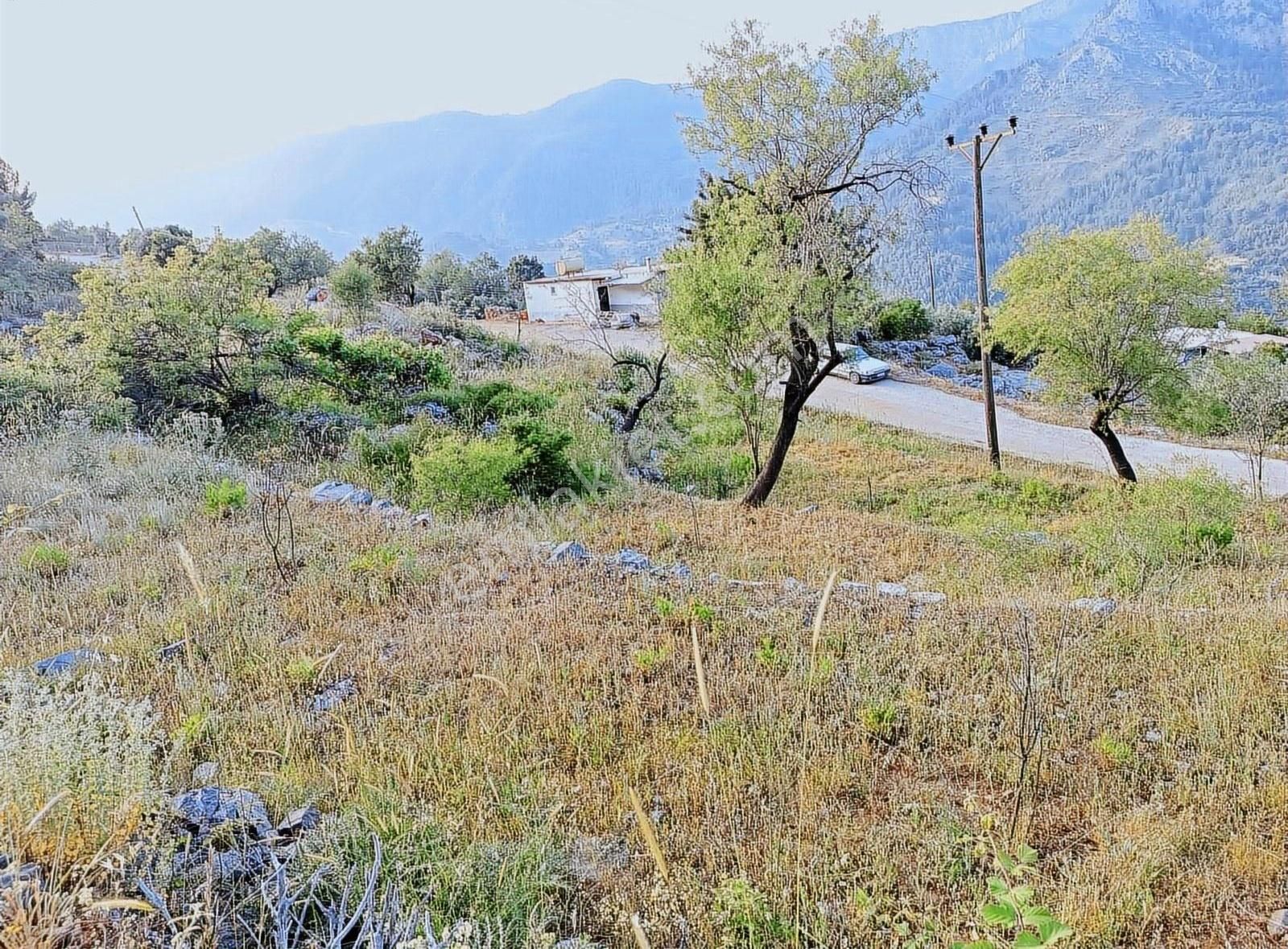 Alanya Türktaş Satılık 2 Dönüm Tarla