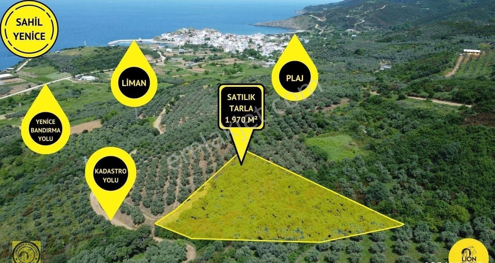 Bandırma Sahil Yenice'de Deniz Manzaralı Satılık 1.970m² Tarla Lion Emlak'tan