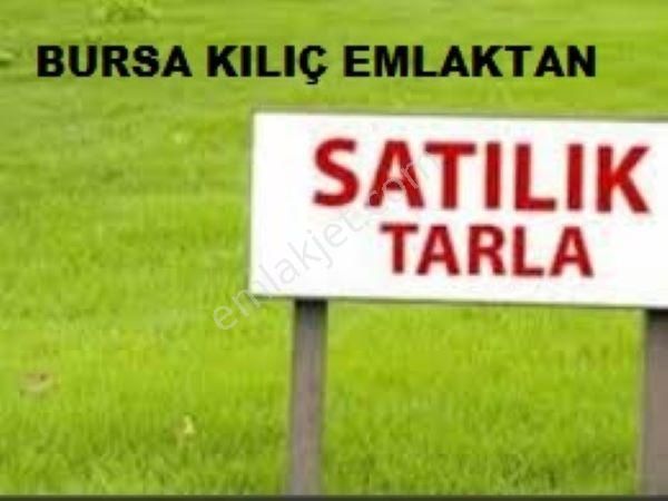 Bursa Kılıç Tan Yeşil Cennet Yavuzköy De Satılık 3103 M2 Tarla Bahçe