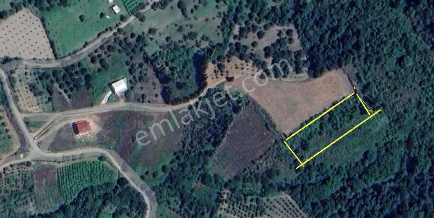 Karamürsel Akçat Köyünde 844 M2 Yatırımlık Tarla