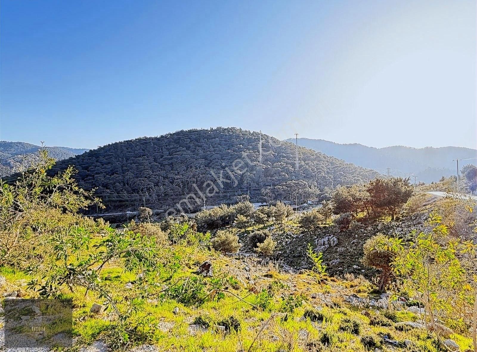 Bodrum Gölköy'de Ana Yola Cepheli Satılık Arsa - Görsel 5