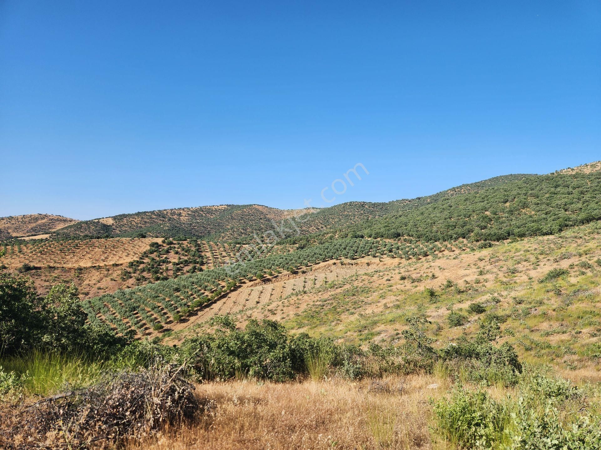 Manisa Salihli Kanevli Mah. 28.468 M2 Köy Manzaralı Arazi