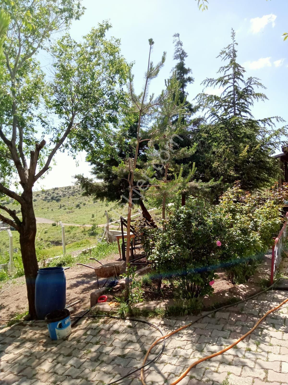 Mustakil Ev