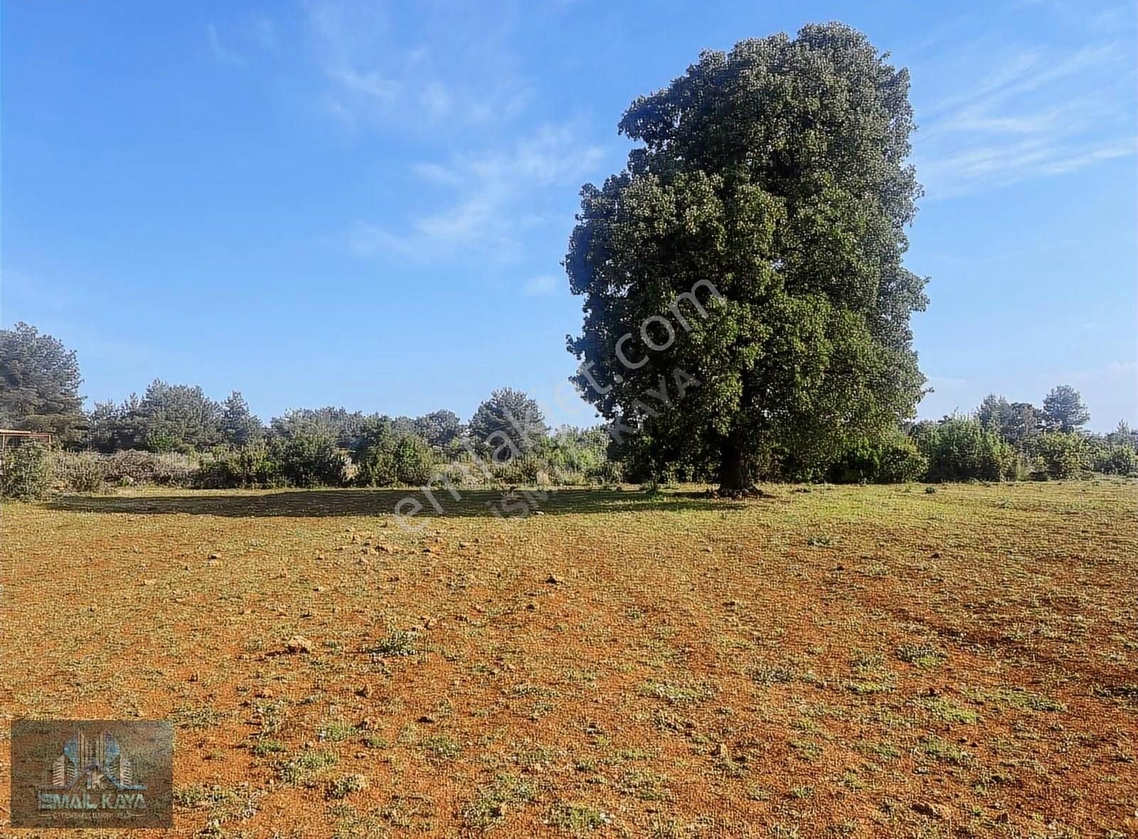 Varsak Aktoptak Kındıra Mevki 420 M2 Villa Arsası