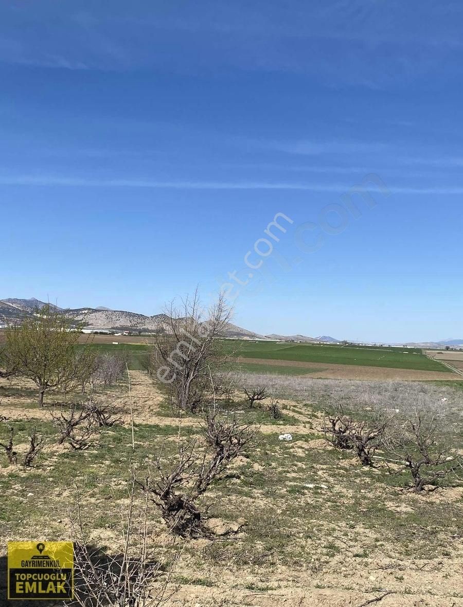 Burdur Karamanlı Hürüyet Te.5110.metrekare Bahçe - Görsel 29